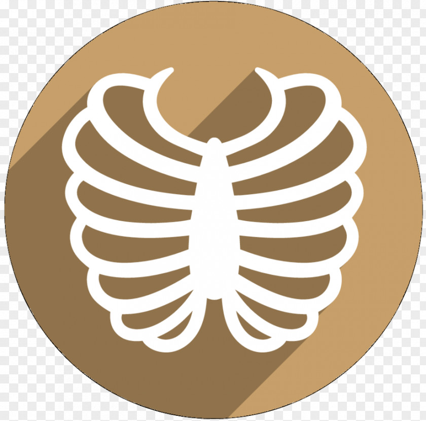 Rib Cage Clip Art Bone PNG