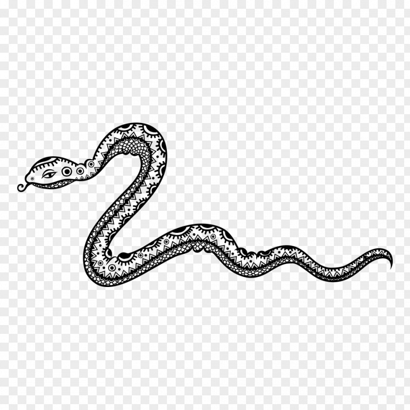 Snake Boa Constrictor Black And White PNG