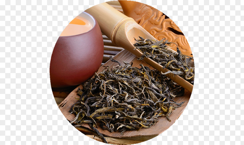 Tea Oolong Green White Anxi County PNG