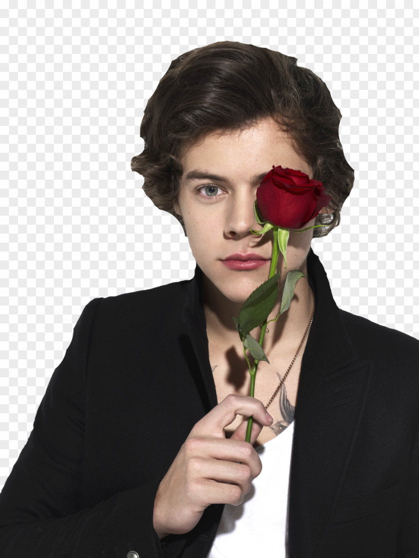 Direction Harry Styles One Beauty And The Beast YouTube PNG