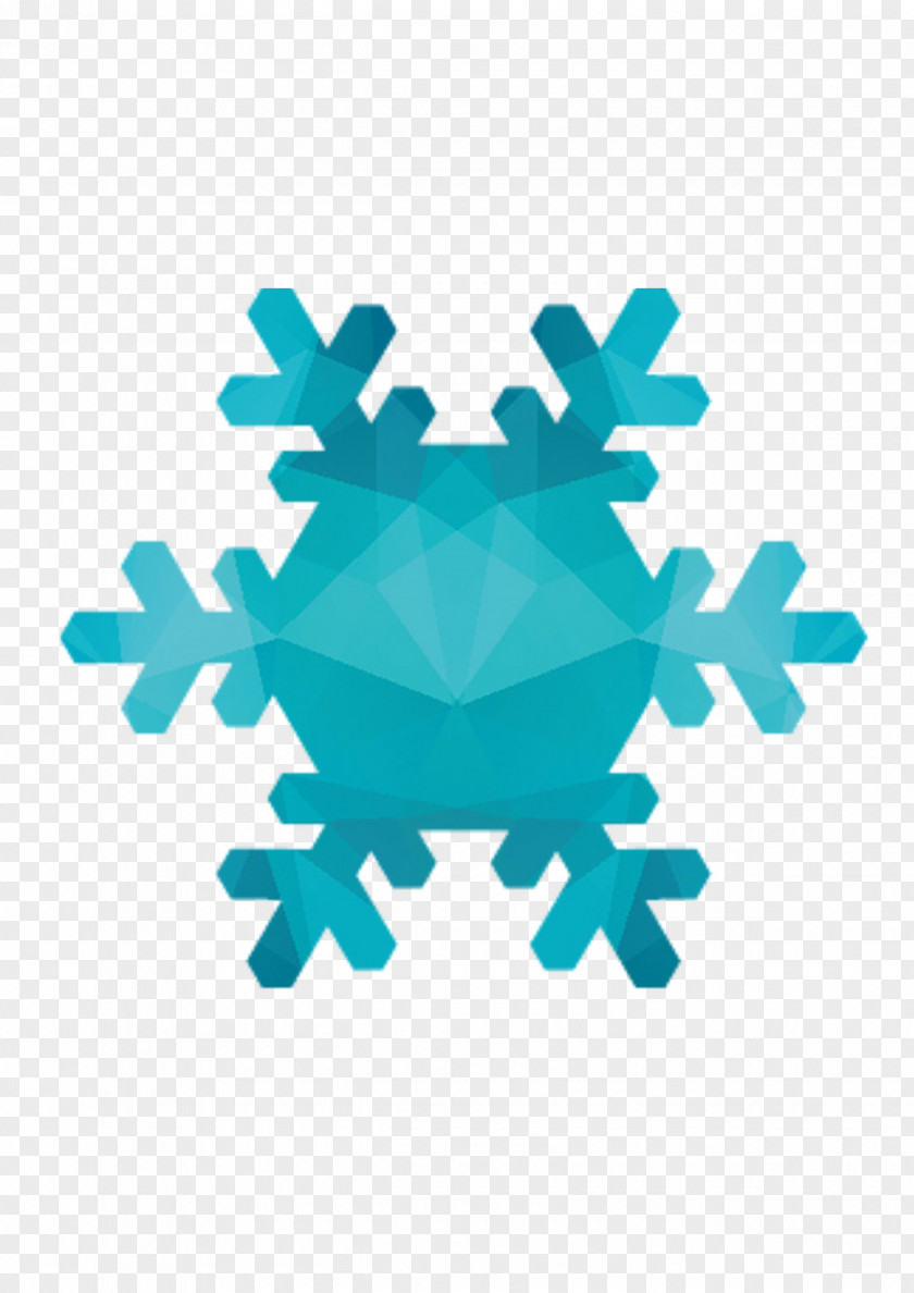 Snowflake,petal,Polygon Snowflake Petals Stock Illustration Icon PNG