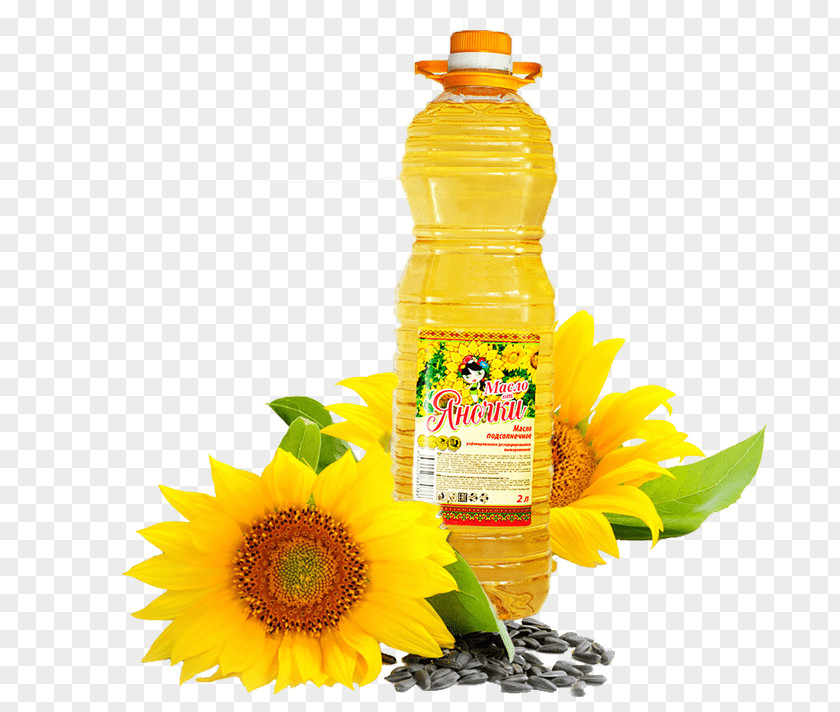Sunflower Oil Common Seed Food PNG