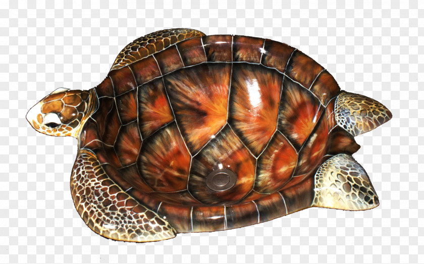 Turtle Box Artistic Illusions Sea Sink PNG