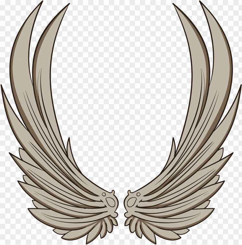 Wing Clip Art PNG