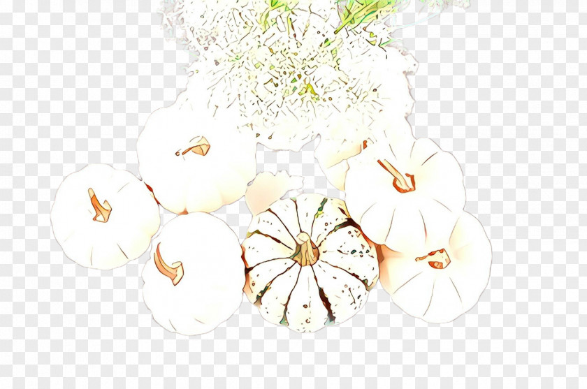 Blossom Wildflower White Plant Flower Branch PNG