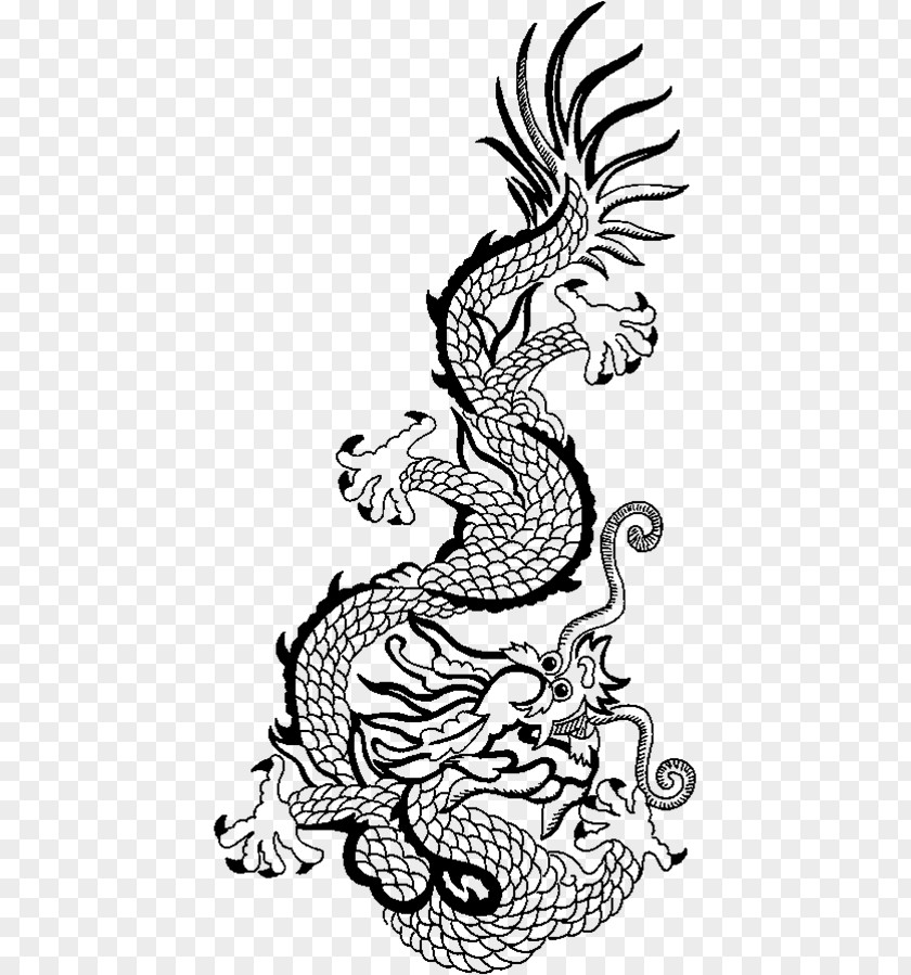 Dragon Zodiac China Chinese Coloring Book Japanese PNG