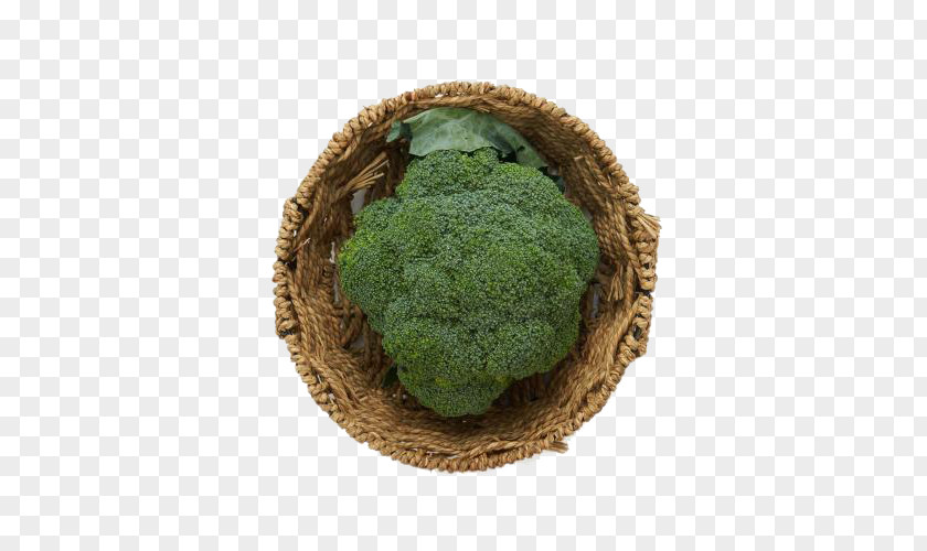 Fresh Broccoli Superfood Vegetable PNG