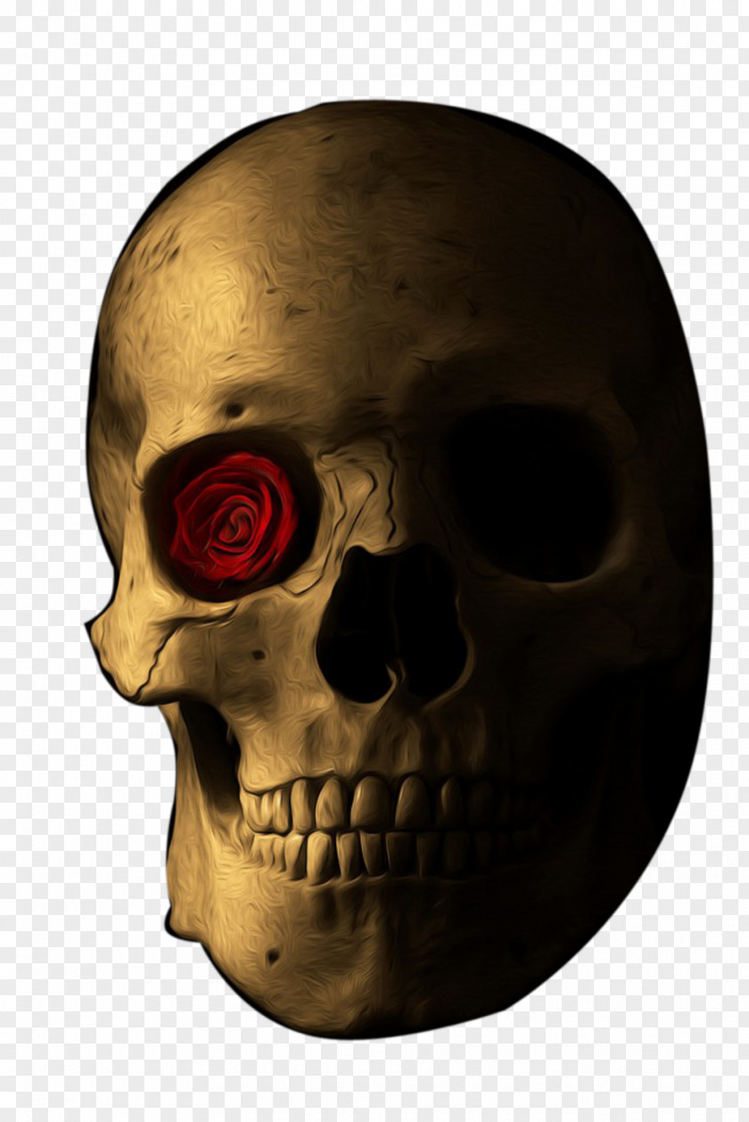 Horror Skull Illustration PNG