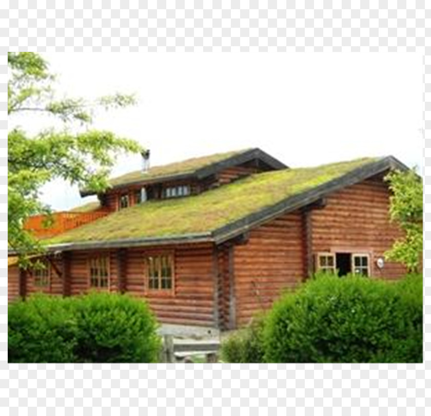 House Green Roof Garden Building Insulation PNG