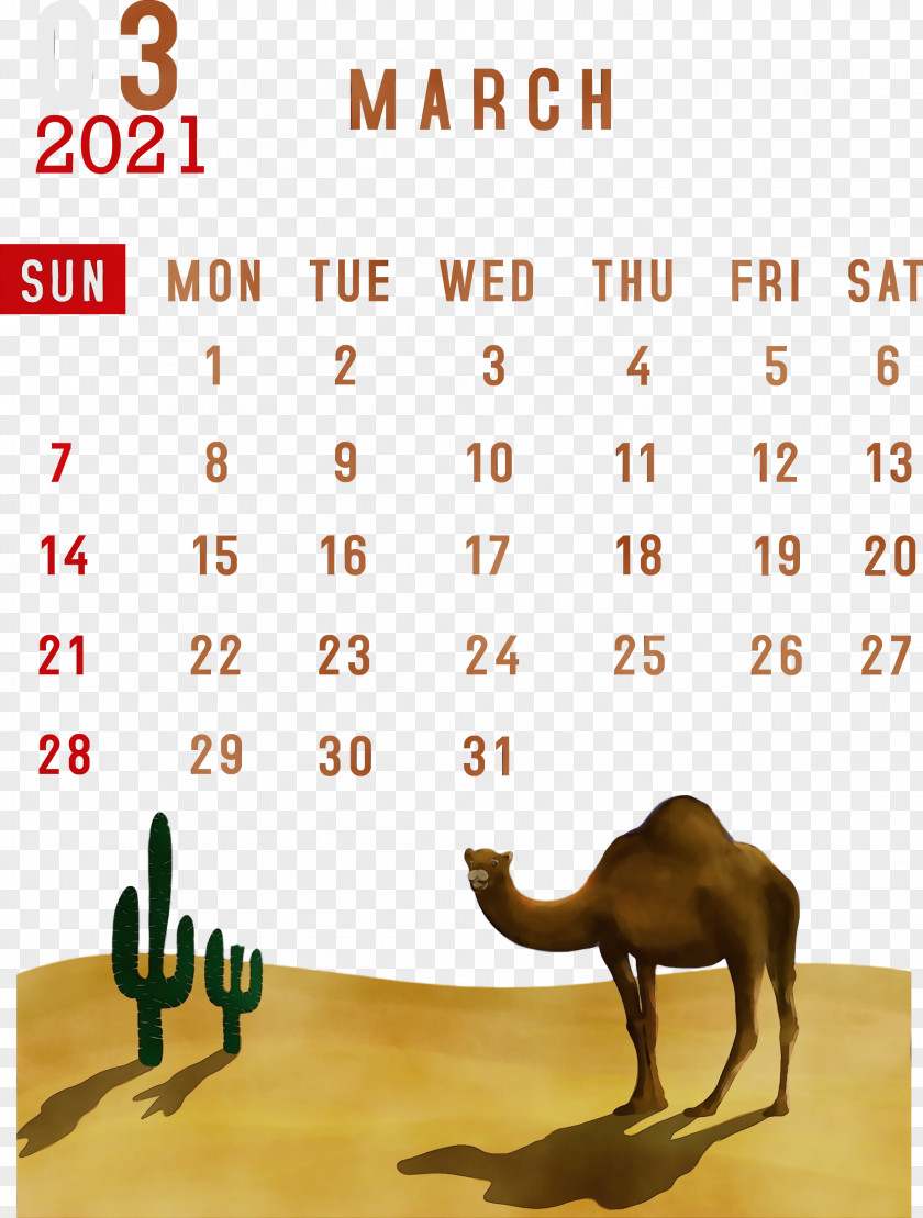 Lunar Calendar Font Meter System Month PNG