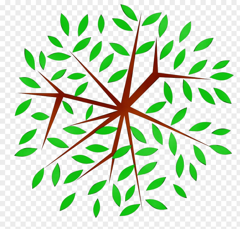 Vascular Plant Branch Stem Leaf Line Pattern PNG