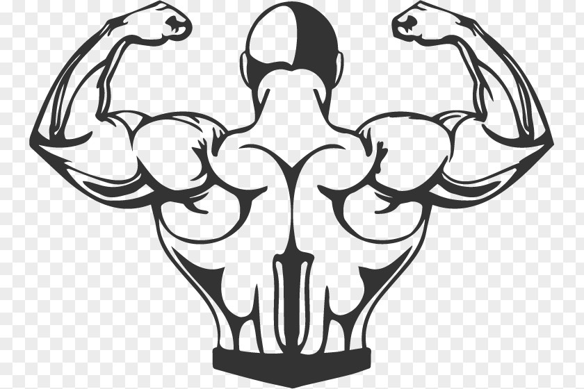 Bodybuilding Muscle Exercise Cartoon PNG