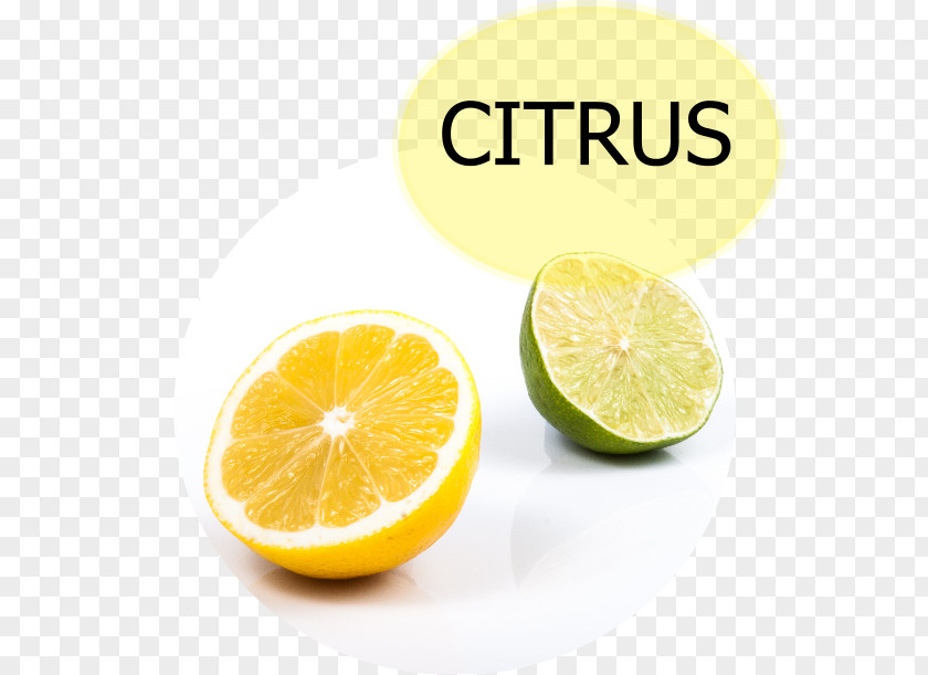 Citrus Corona Juice Lemon-lime Drink Carbonated Water PNG