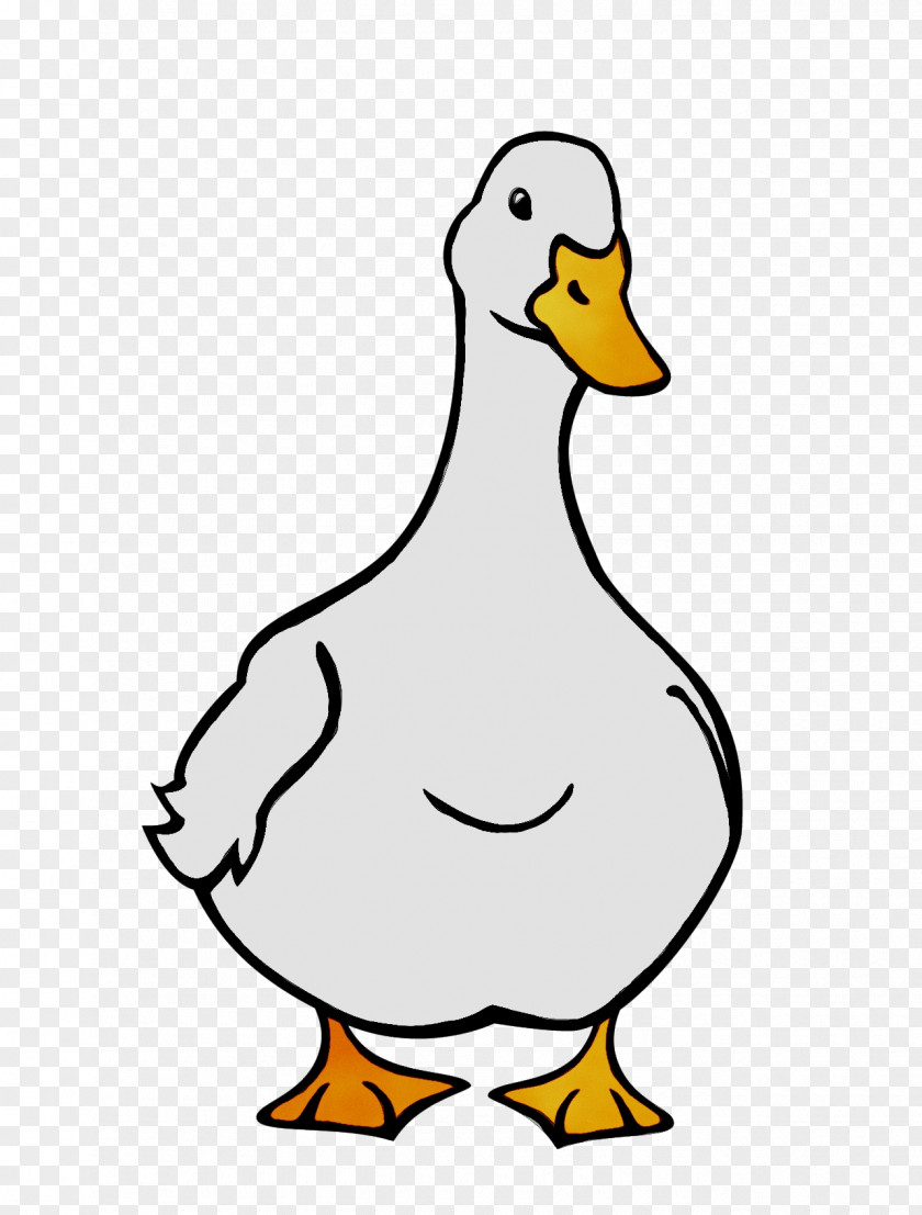 Donald Duck Swans American Pekin Drawing PNG