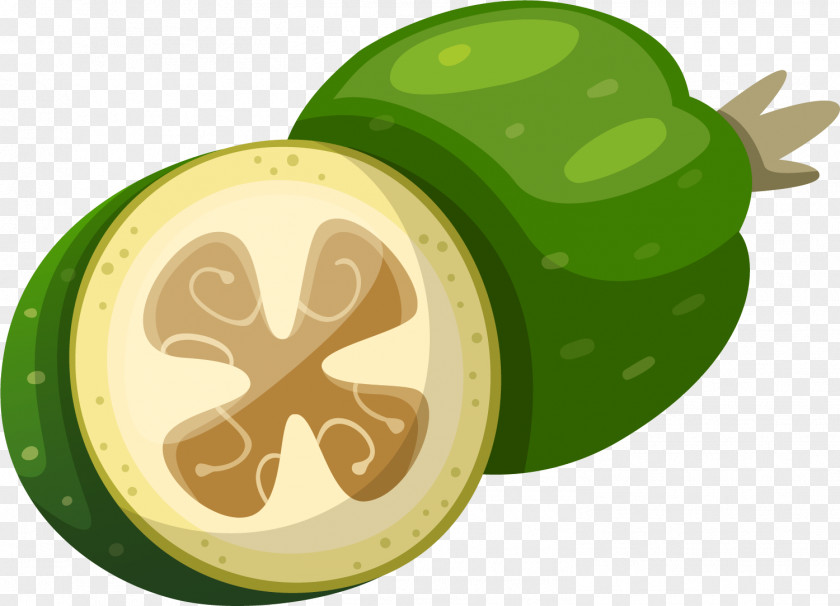 Hand-painted Green Fruits And Melons Fruit Auglis Food PNG