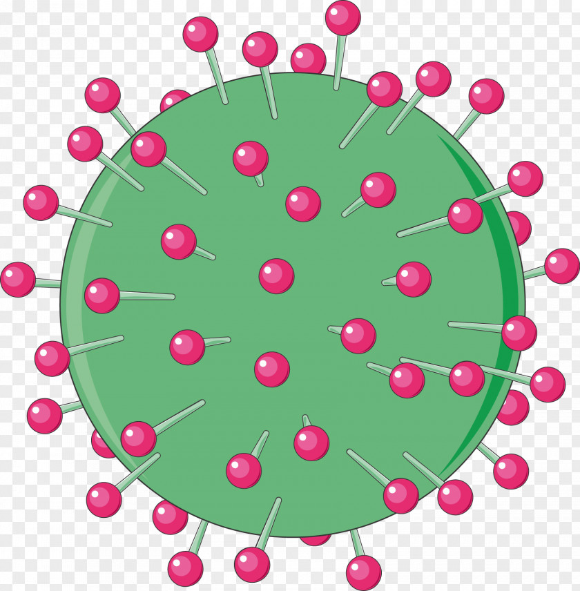 Infectious Disease Viral Hepatitis Echinococcosis Virus A PNG