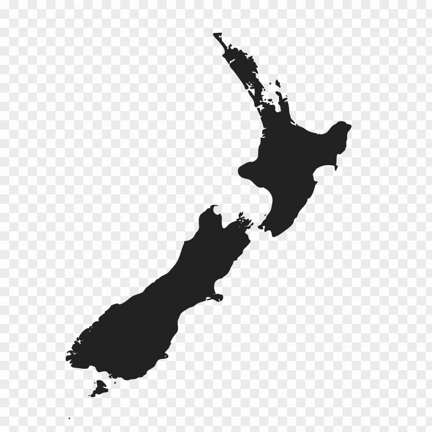 Map New Zealand Vector Equirectangular Projection PNG