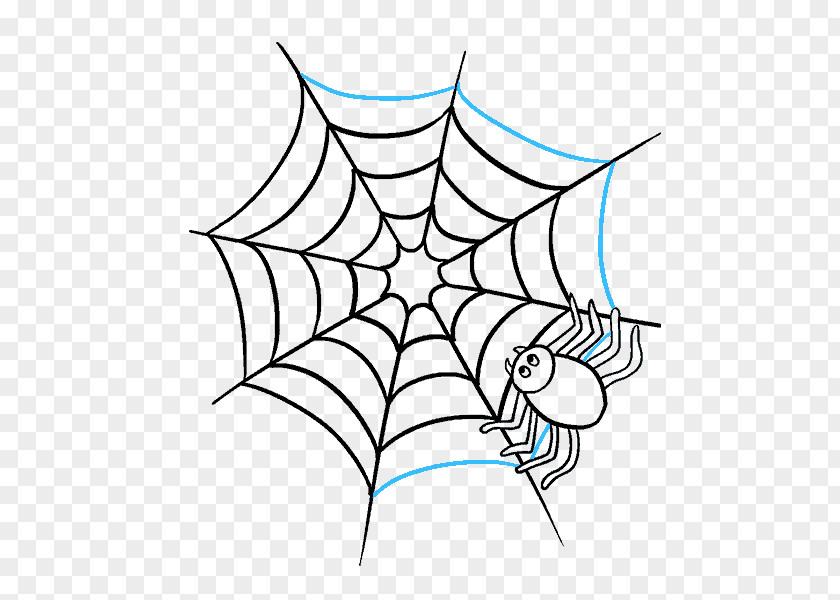 Spider Spider-Man Southern Black Widow Western Web PNG