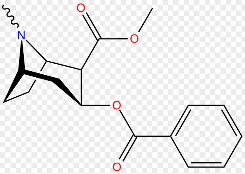 Structural Drawing Erythroxylum Coca Alkaloid Tropane Serotonin Transporter PNG