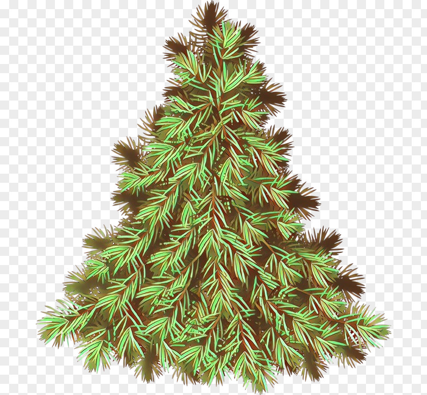 Canadian Fir Oregon Pine Christmas Tree PNG