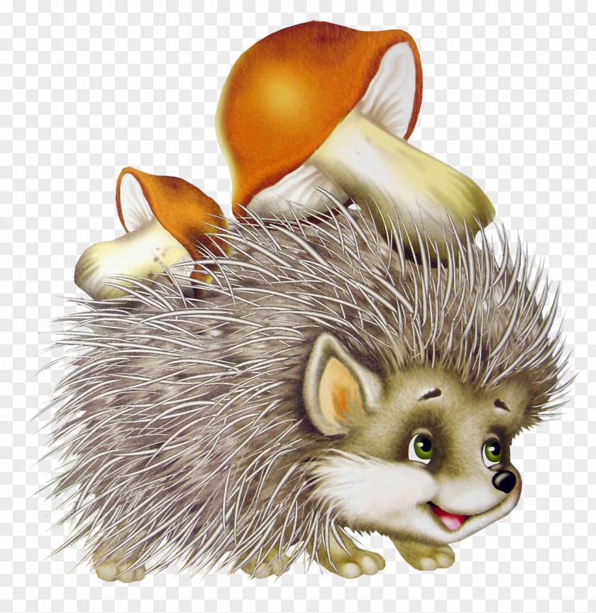 Hedgehog Southern White-breasted Drawing Clip Art PNG