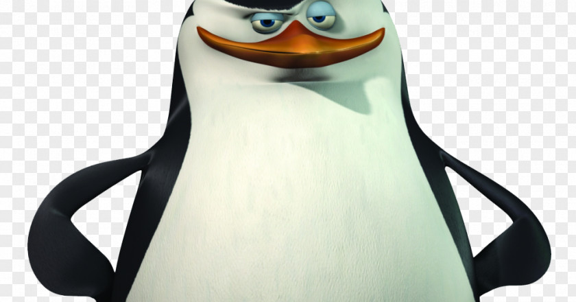 Penguin Madagascar Skipper Animation Film PNG