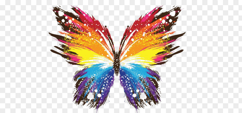 Butterfly Effect Color Desktop Wallpaper PNG