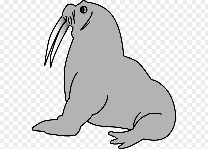 Elephant Seal Harp Clip Art PNG