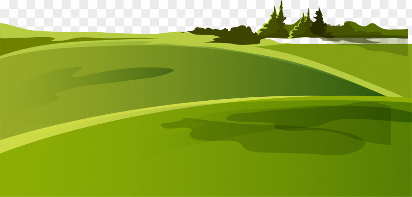 Green Grass Lawn PNG