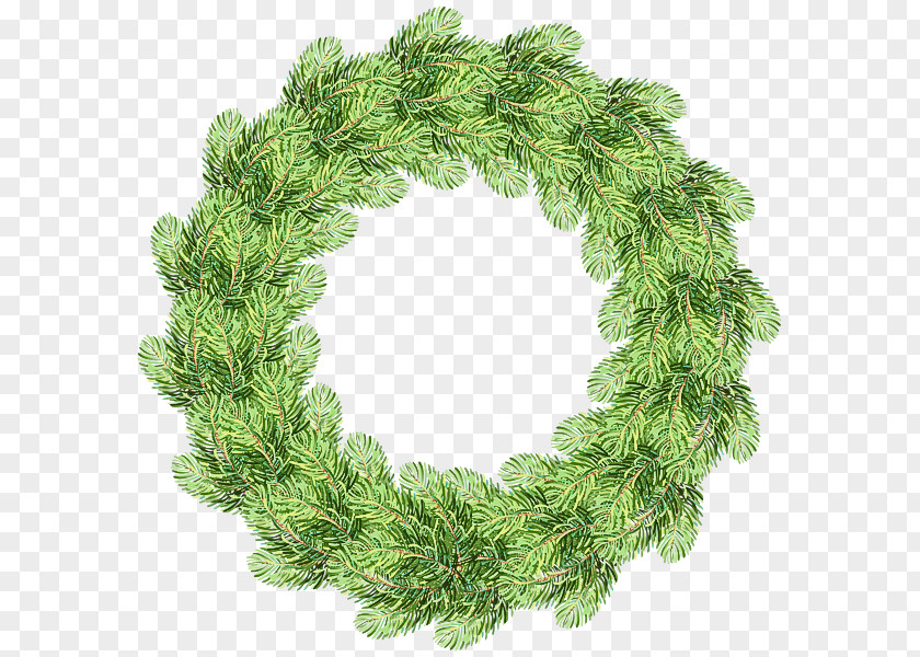 Pine Family Branch Christmas Decoration PNG