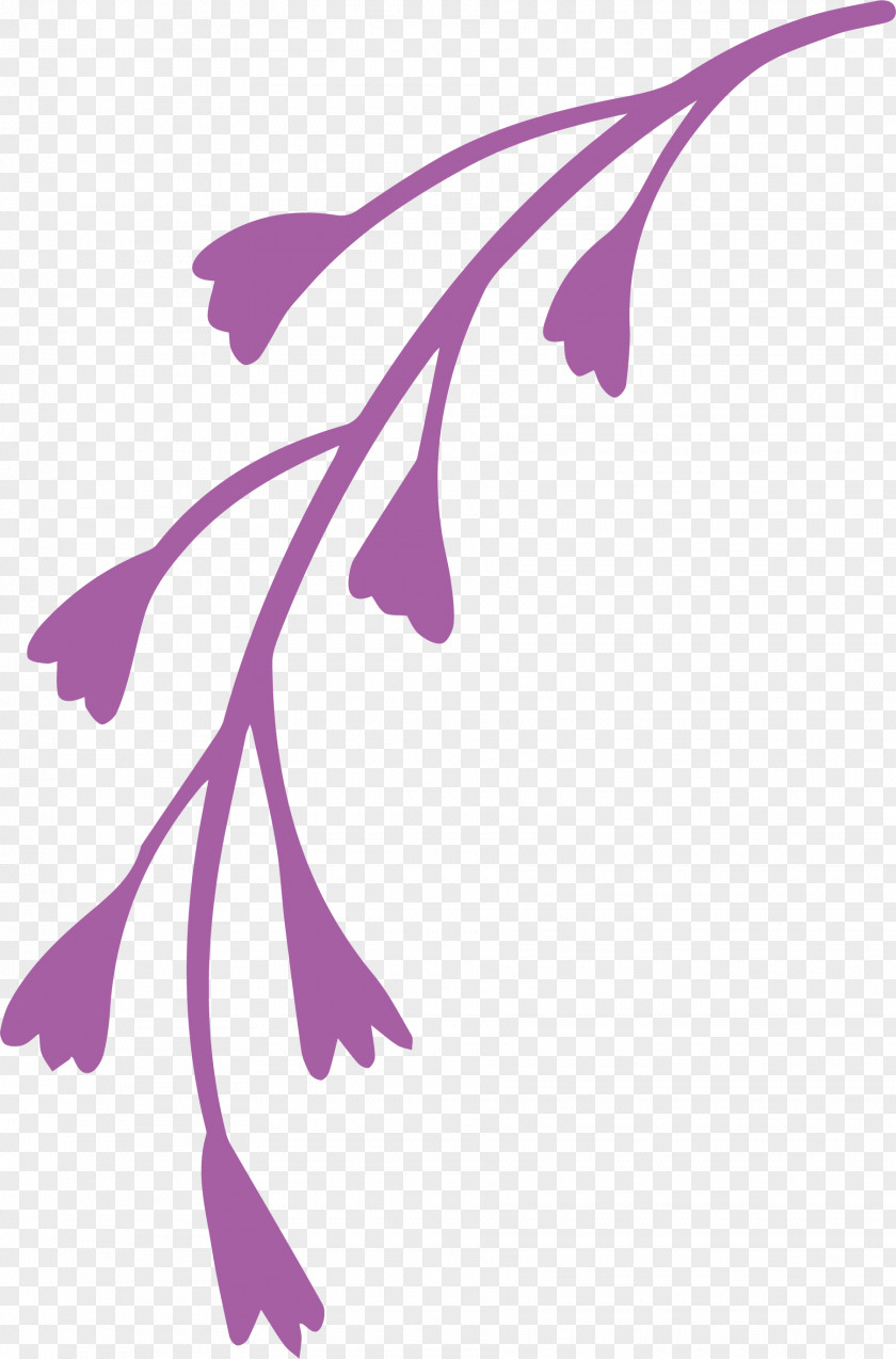 Simple Leaf Drawing Outline PNG