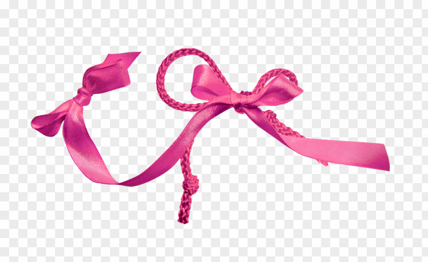 Bow Ribbon Download Shoelace Knot PNG