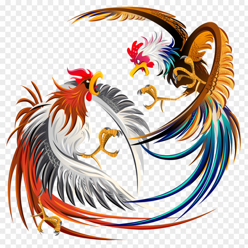 Cockfighting Cockfight Rooster Chicken Illustration PNG