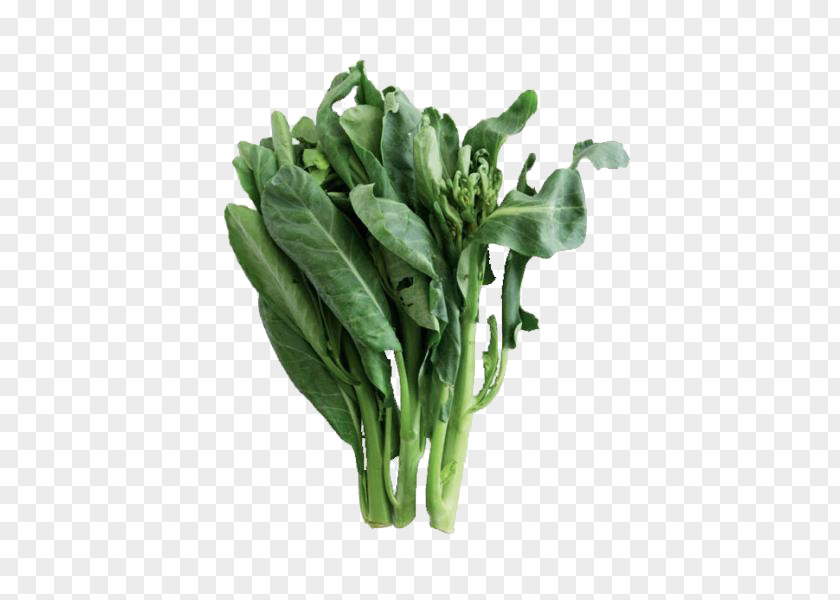 Green Kale Leaves Chinese Broccoli Romaine Lettuce Vegetable Collard Greens Spring PNG