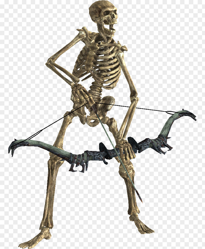 Joint Elder Scrolls The V: Skyrim Human Skeleton Game Undead PNG