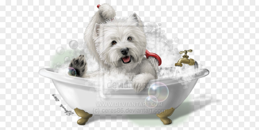 Puppy West Highland White Terrier Maltese Dog Smooth Fox Breed PNG