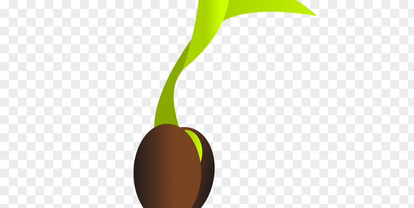 Ceylon Gooseberry Seeds Clip Art Vector Graphics Free Content Image PNG