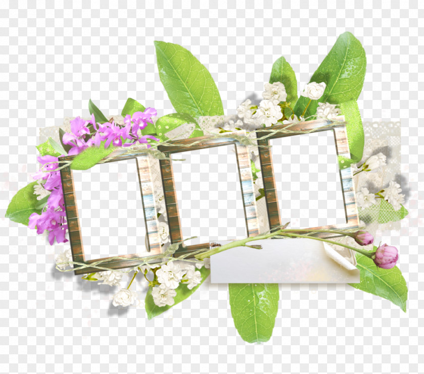 Design Floral Picture Frames PNG