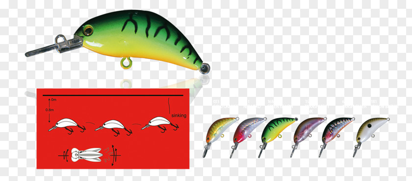 Fish Shop Fishing Baits & Lures Beak Clip Art PNG