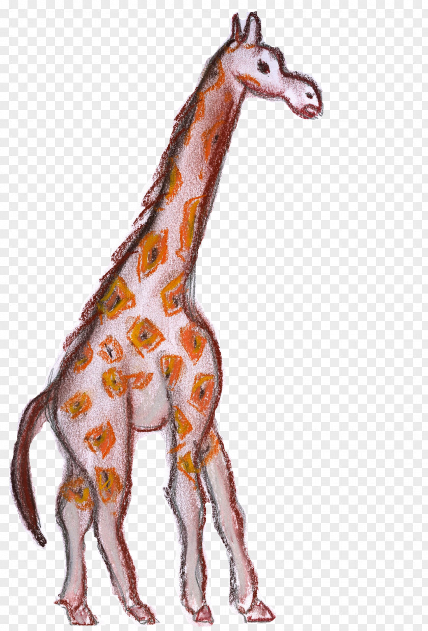 Giraffe Horse Neck Terrestrial Animal PNG