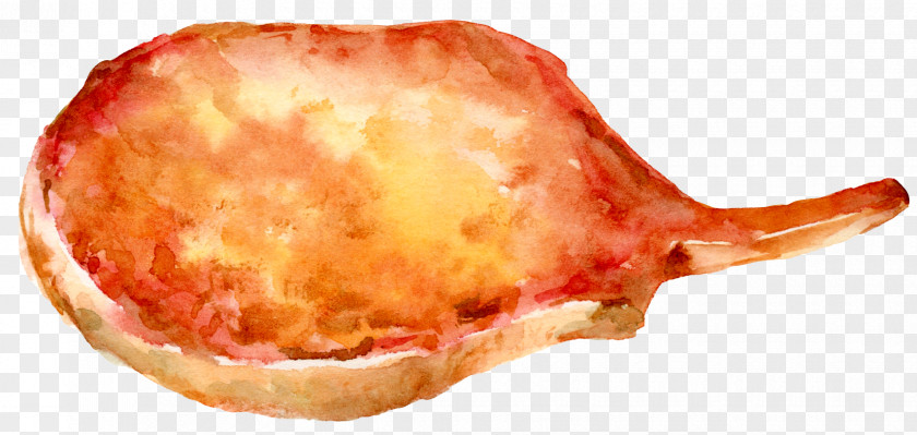 Hand-painted Ham Italian Cuisine Pizza PNG