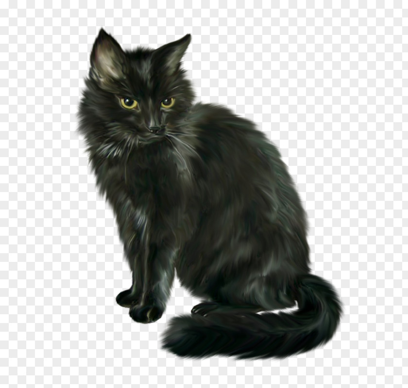 Black Cat Siamese Halloween Clip Art PNG