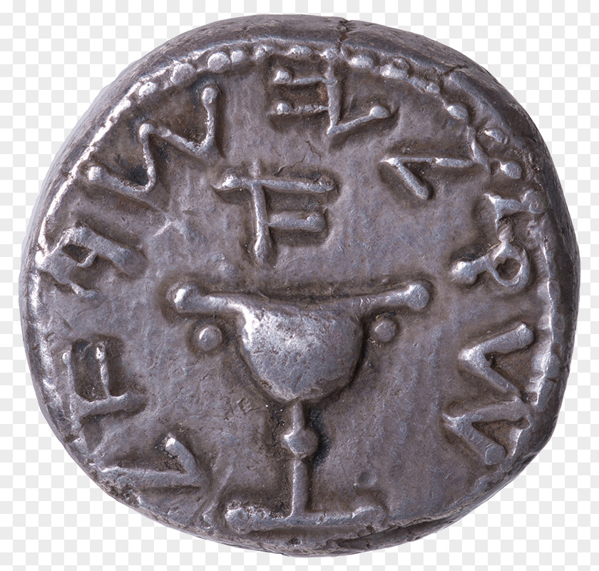 Coin First Jewish–Roman War Israel Museum Israeli New Shekel Hebrew PNG