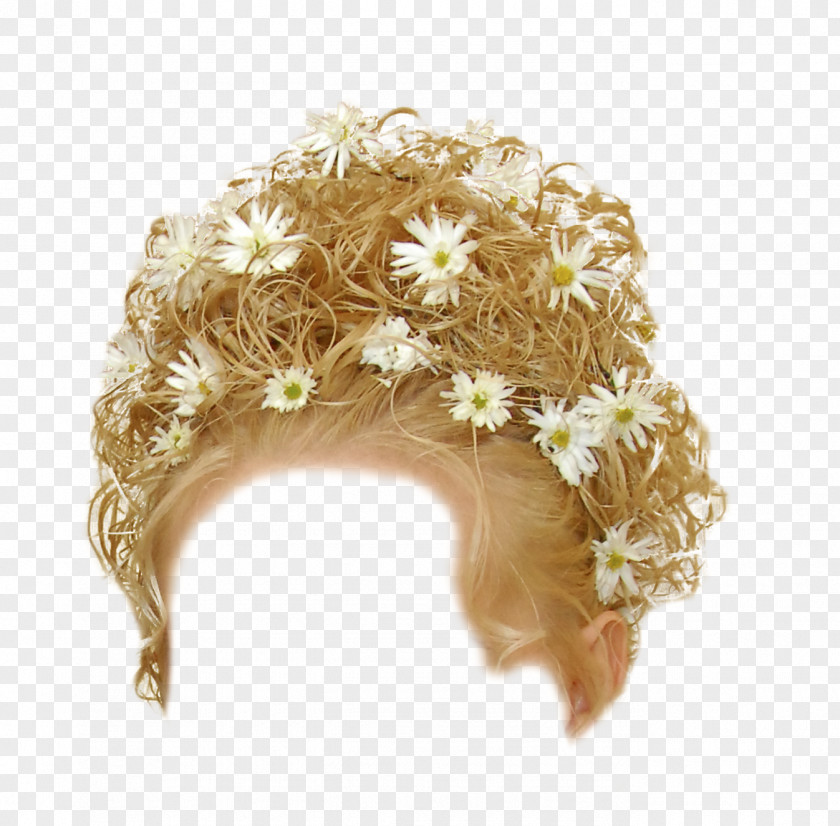 Hair Hairstyle Wig Capelli PNG