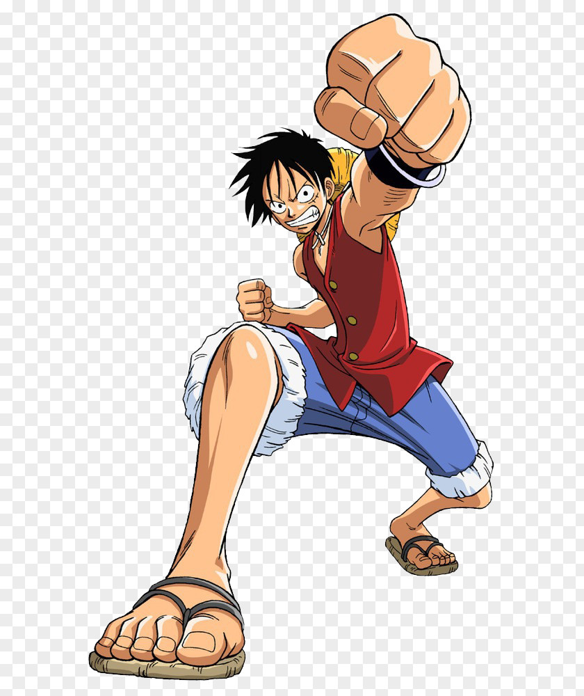 One Piece Monkey D. Luffy Usopp Garp Portgas Ace Nami PNG