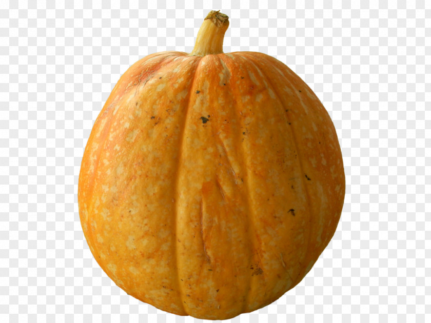 Pumpkin Calabaza Cucurbita Melon Winter Squash PNG