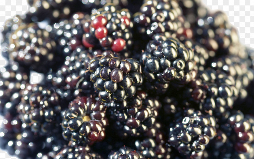 Raspberry Tea Frutti Di Bosco Food Fruit Defecation PNG