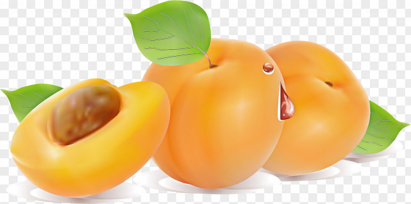 Vegan Nutrition Plant Orange PNG