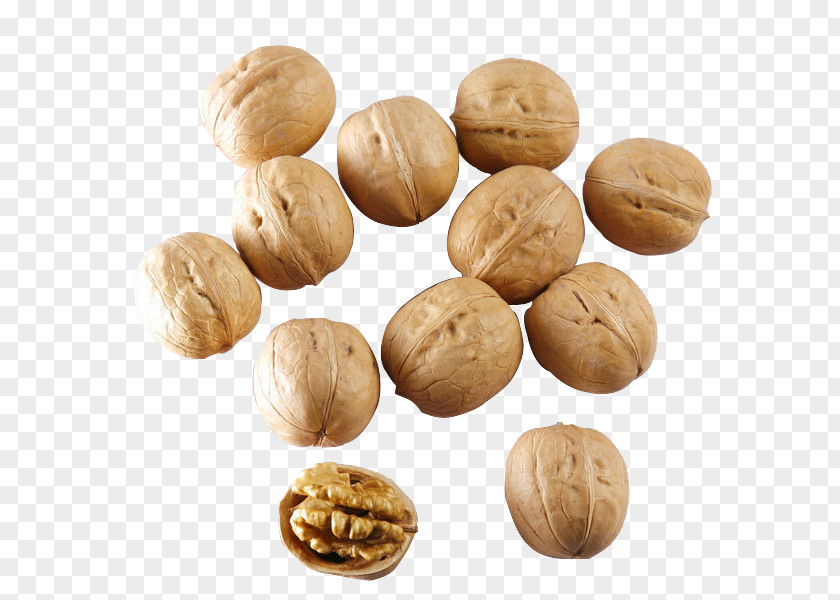 Walnut Food PNG