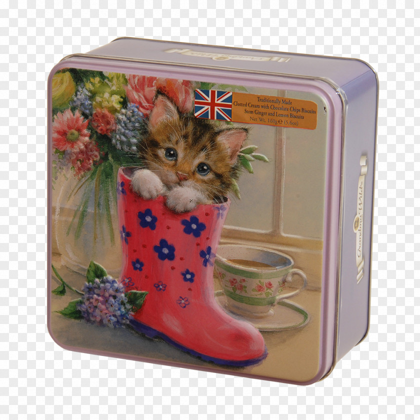 Wellington Boot Post Box Biscuit Tin Decorative Kitten PNG